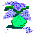 Lilacs